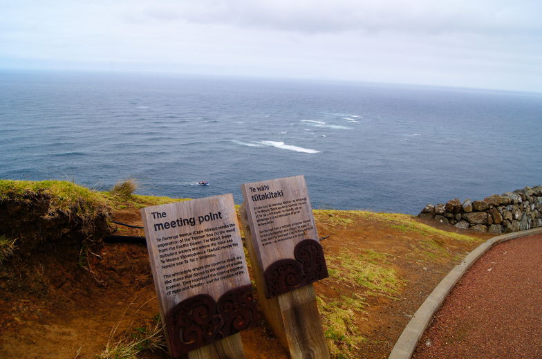 neuseeland cape reinga zwei meere