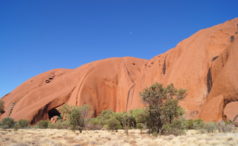 Outback Tour Tipps zu Uluru, Kata Tjuta und Kings Canyon