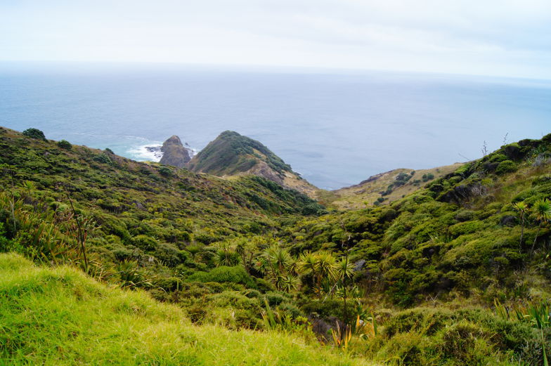 Weltreiseziele Neuseeland