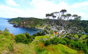 In einer Bucht von den Bay of Islands