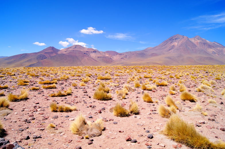 Highlight die beste Tour durch die Atacama Wueste