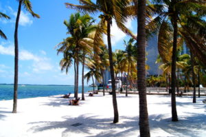 Miami Downtown Sand und Palmen im Bayfront Park
