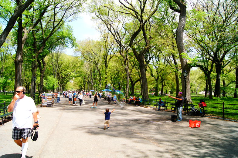 Tipp Spaziergang durch Central Park New York 