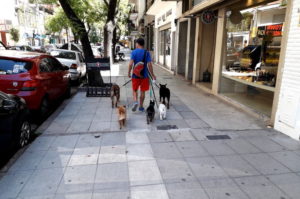 Gassiführer für Hunde in Buenos Aires