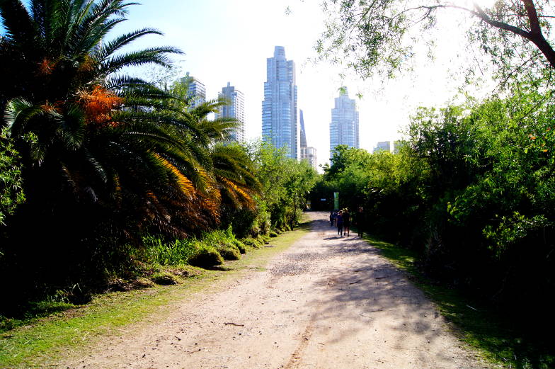 Laufe durch den Reserva Ecológica Costanera Sur Buenos Aires