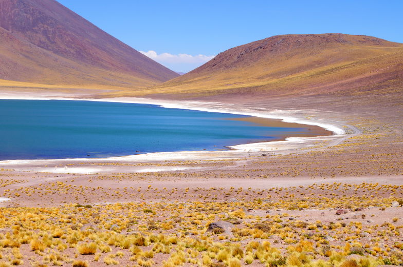 Weltreise Stopp an der Miscanti Lagune in Chile
