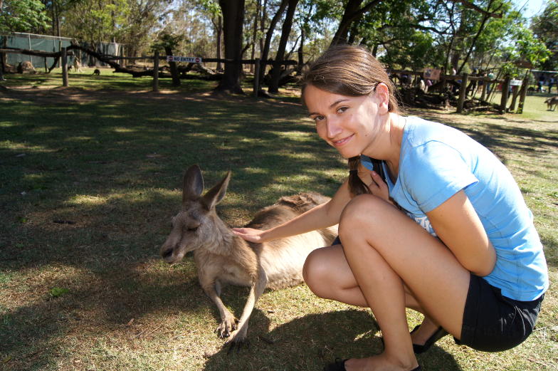 Weltreise Erlebnis Australien Kanguru fuettern