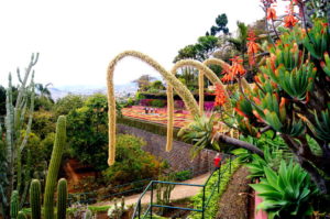 Tipp Aussicht beim botanischen Garten in Funchal