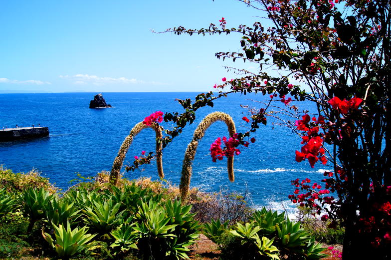 Funchal Tipps Wanderungen mit Blick auf den Atlantik