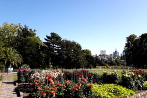 Ausflugsziel Palmengarten in Frankfurt