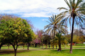 Turia Park Grüne Oase in Valencia Reiseziel in Europa