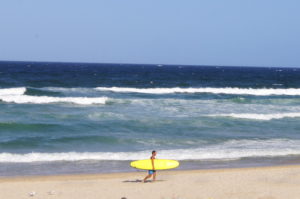 Surfen Australien Fakten