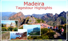 Madeira Ost-Tour: Das erwartet dich beim Tagesausflug zum Pico Arieiro, Santana und Sao Lourenco