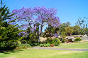 Sommer im Winter Australien warmes Reiseziel