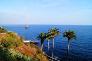 Reiseziel Madeira warmes Wetter im Winter