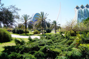 Die besten Aktivitaeten im Turia Park Valencia