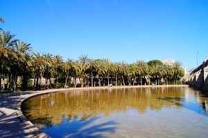 Turia Park mit vielen Palmen und kleinem See