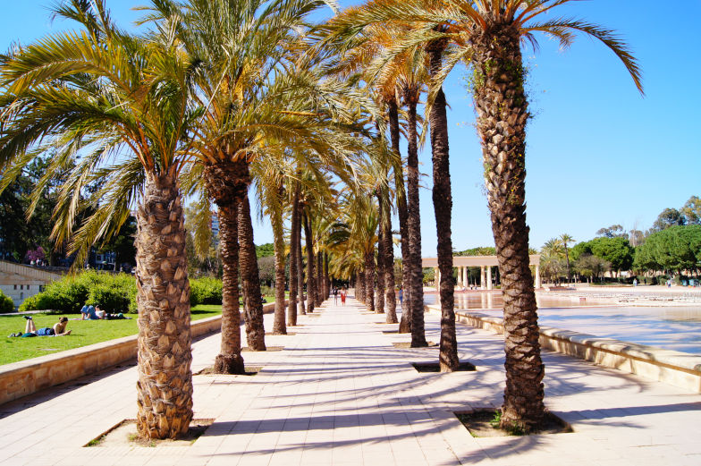 Tipps zum Tagesausflug Turia Park Valencia