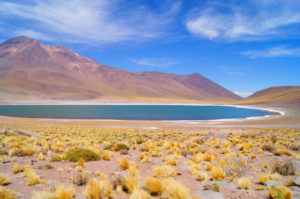 Atemberaubende Altiplano Lagunen in Chile
