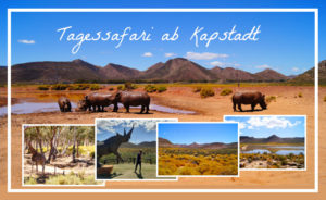 Meine Erfahrungen zur Aquila Game Reserve Safari
