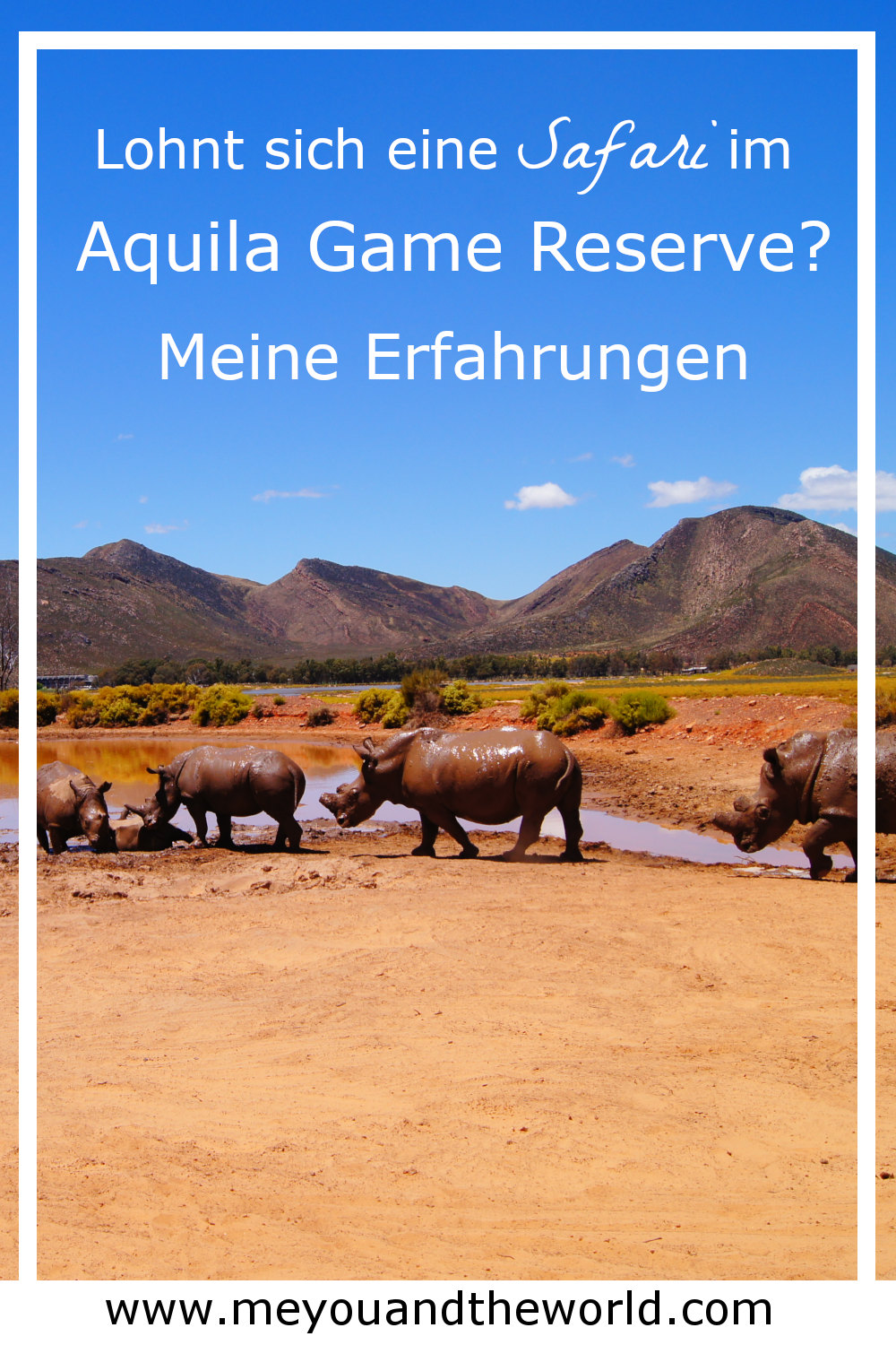 Aquila Game Reserve Safari ab Kapstadt Erfahrung