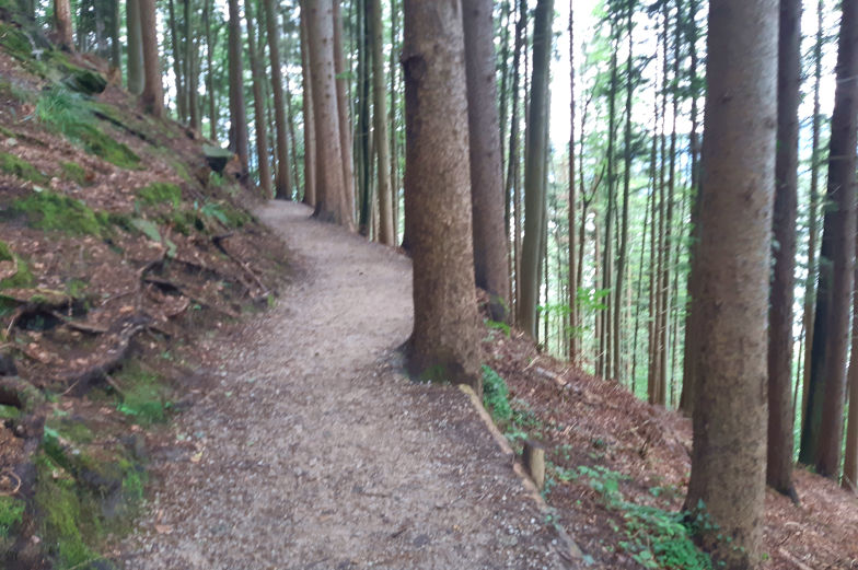 Alpenüberquerung von Gmund nach Sterzing erste Etappe