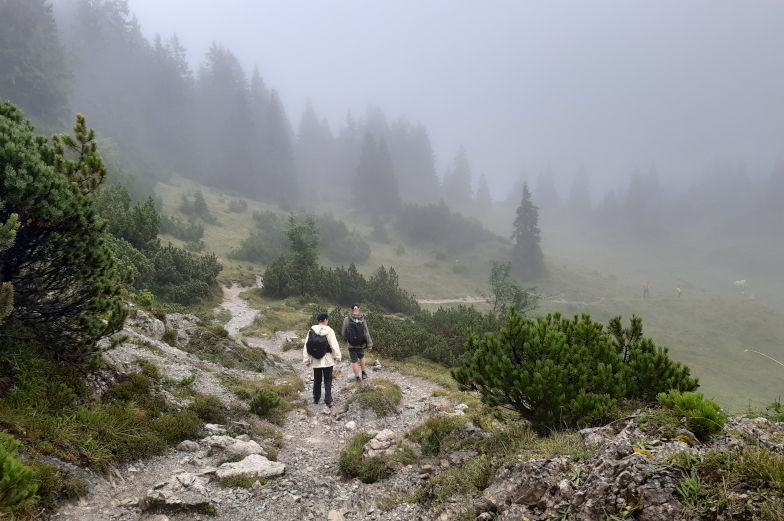 Waldsteig zweite Etappe der Alpenüberquerung Kreuth nach Achenkirch