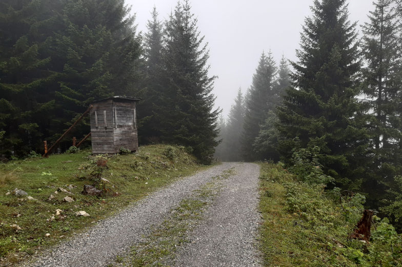 Bergab auf dem Wirtschaftsweg