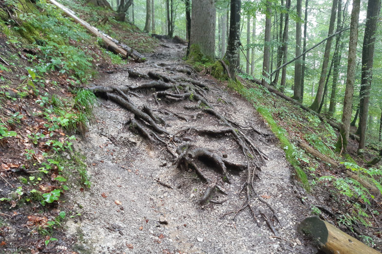 über Stock und Stein Alpenüberquerung zweite Etappe