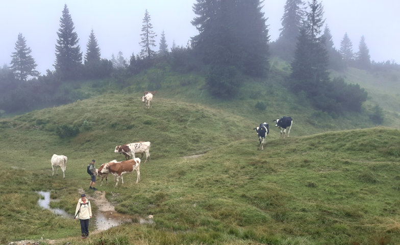 Zweiter Tag der Alpenüberquerung Tipps zur Strecke, Verpflegung und Erfahrungen