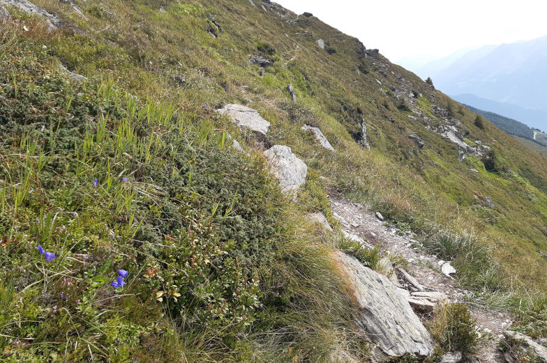 Steiler Weg zum Mitterwandskopf fünfte Etappe Alpenüberquerung