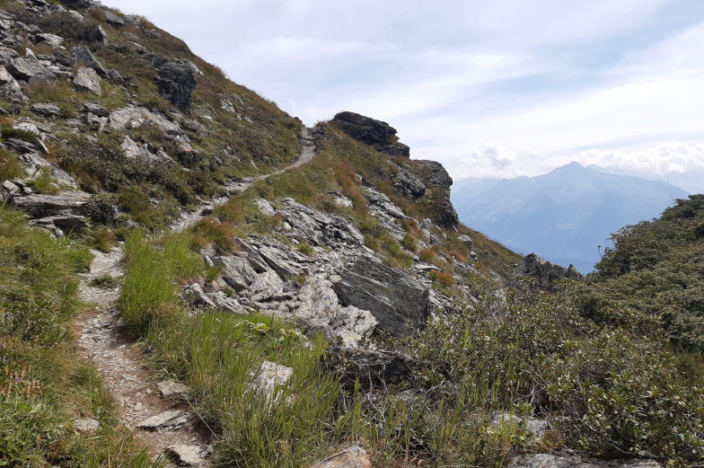 Schmaler Pfad auf Mitterwandskopf fünfte Etappe Alpenüberquerung