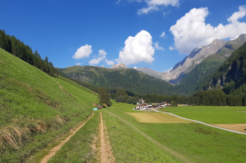 Feldweg sechste Etappe der lApenüberquerung im Pfitschtal 
