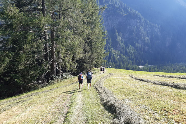 Wiesenweg sechste Etappe der Alpenüberquerung