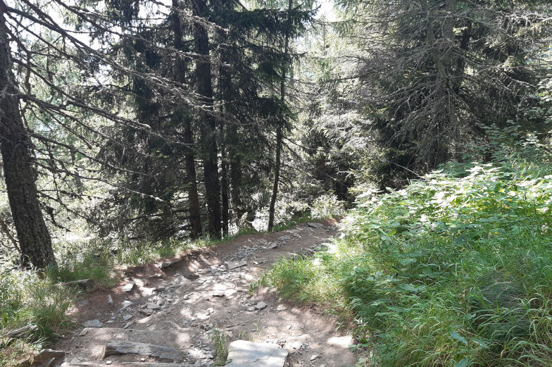 Strecke ins Pfitschtal sechste Etappe der Alpenüberquerng