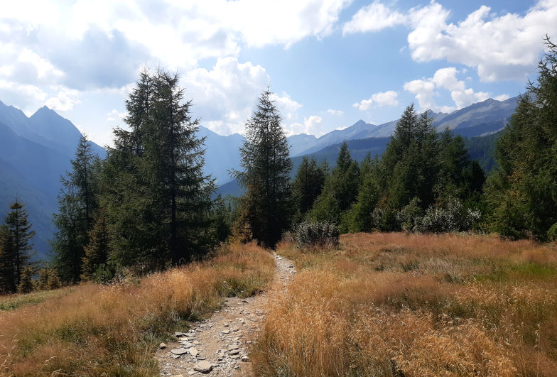 Anstrengender Weg ins Pfitschtal sechste Etappe der Alpenüberquerung