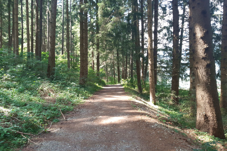 Schöne Wanderung durch Wald und Wiesen nach Sterzing siebte Etappe Alpenüberquerung