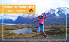 18 Dinge, die ich bis Silvester 2025 erreichen und erleben will Meine to Want Liste 2025