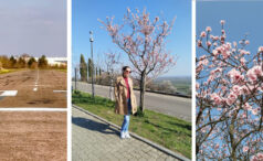 Meine Reiseblicke im Mäz 2026 Nicht mein Monat aber mit schoenen Momenten