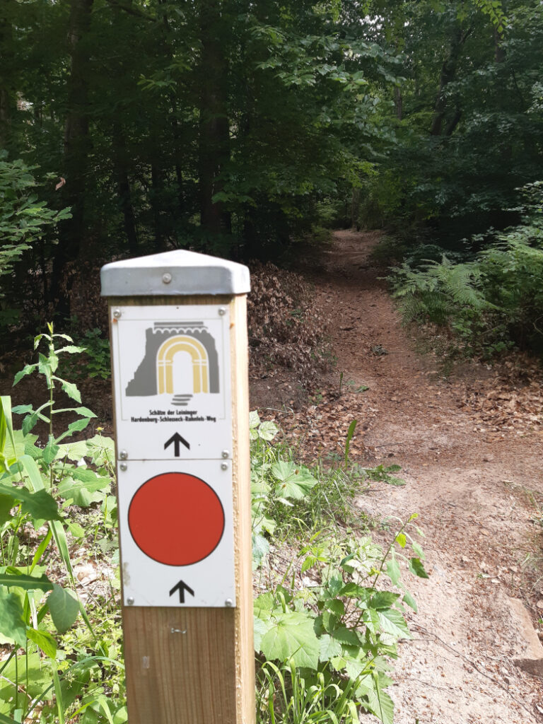 Wanderweg zur Frankenthaler Hütte im Pfälzerwald – Reiseblicke Mai 2026