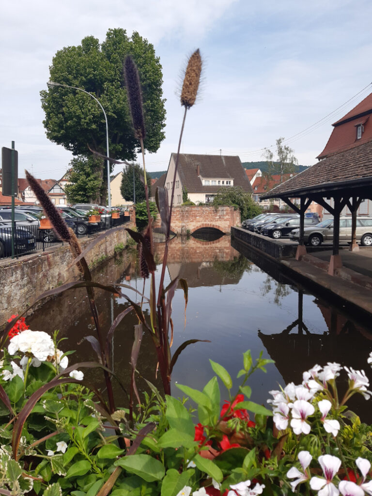 Spaziergang durch Wissembourg im Elsass – Reiseblicke Mai 2026