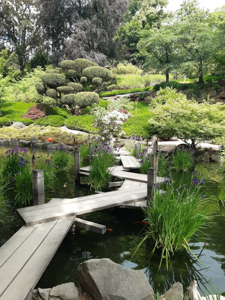 Holzsteg über einen Teich im Japanischen Garten Kaiserslautern