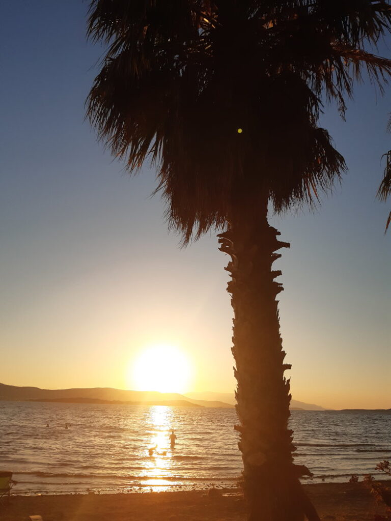 Sonnenuntergang hinter einer Palme am Strand